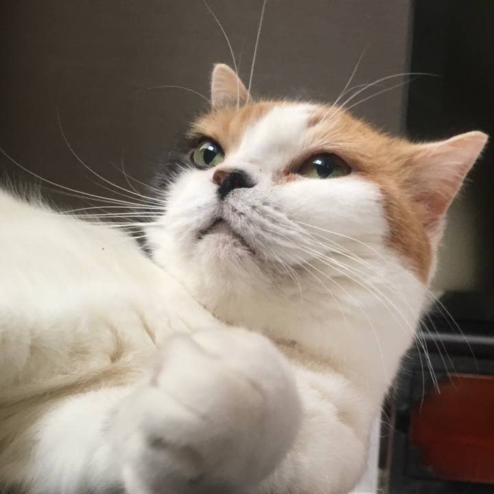 3eccb33b 5118 4bb9 8de7 cac370f55576