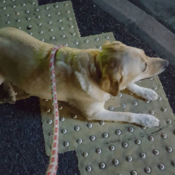 3ecd1645 db04 4473 a25b 9e8fabd1c58b