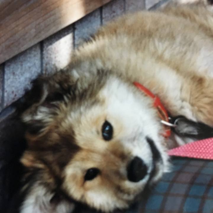 3ecd3e2d a9af 489a b4f1 d6b5f55e525a