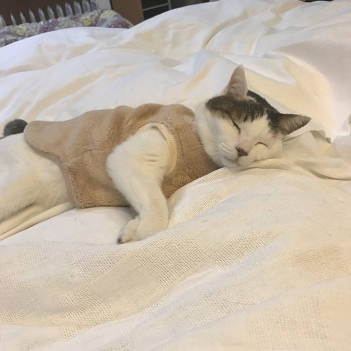 3ece069b 454c 4434 84db a7696d6a6d48