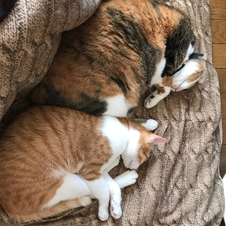 3ece53c7 b55a 494a abda 1c5ee90c2b3e