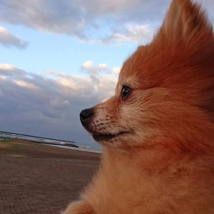 3ecea85a 12f7 497c 8219 61f18000437b