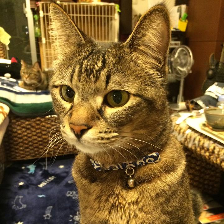 3ecece66 88da 45bf ab6c 6d372a8a2e1e