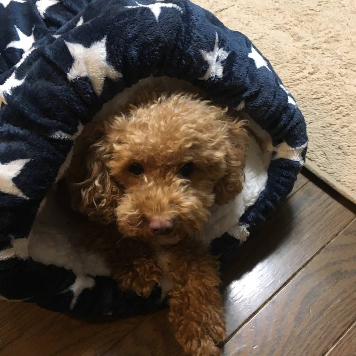 3eced4bc 7024 4c15 a12b 3d368bc7ed8e