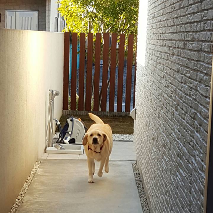 3ecf4222 b5ba 4460 aebd a07da3515bbf