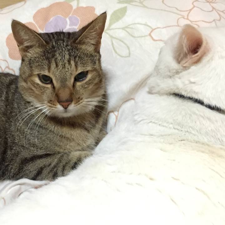 3ecf5a67 1479 41c5 8b39 9a1088b13c7c