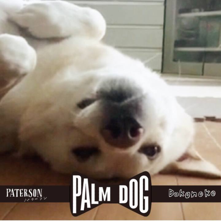 3ecf6bff 6420 409d 96c3 0a8ce7b03abc