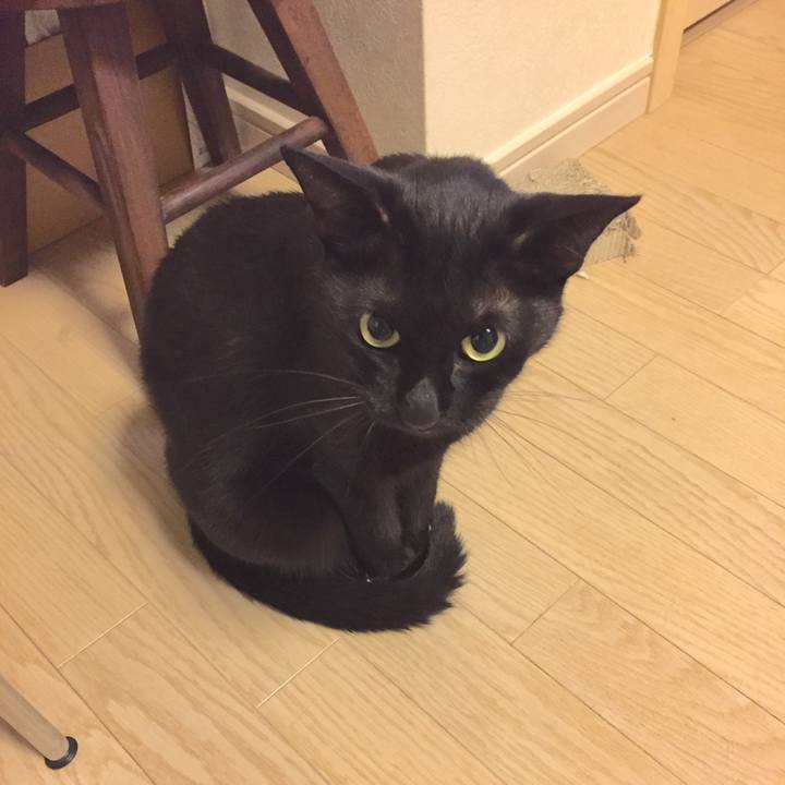 3ed0e1db ecf9 4f81 800c 7708c7ee31d9