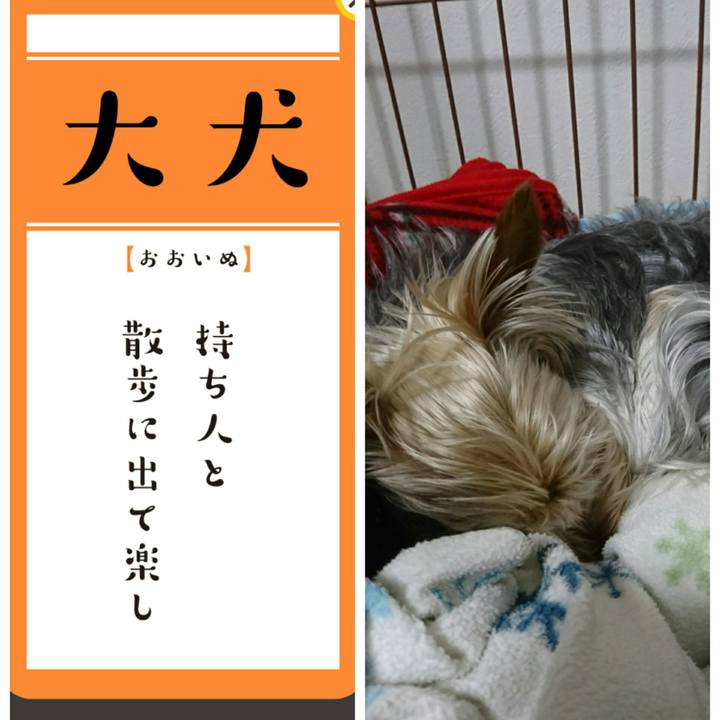 3ed116f2 b654 4a3a 85bd 9c4a20f0719a