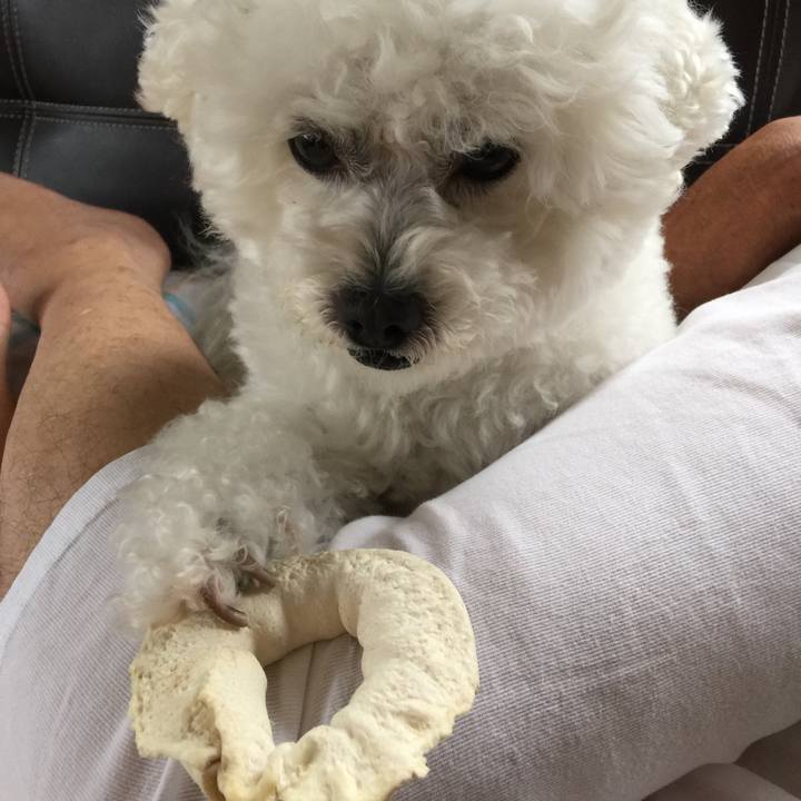 3ed13fdd ae1d 49c8 b5a8 c6cd2f377380