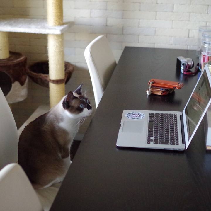 3ed15e4c 3390 44e7 bf1b d6e4566d0a6b