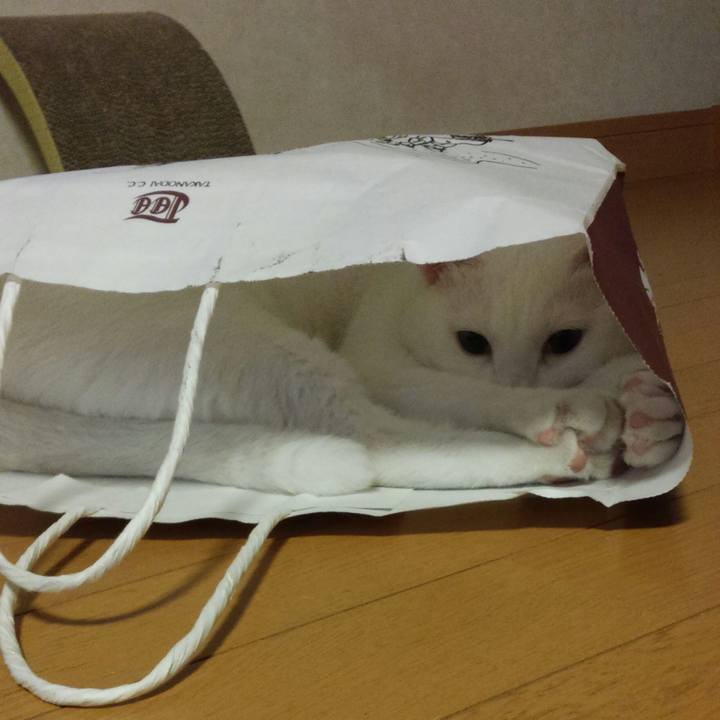 3ed164b9 0c5e 4f5a 8e18 a4e7ffe14ccb