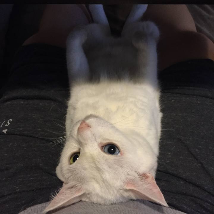 3ed17bdc 0a06 4ccb 8f2c dd37946ada7a