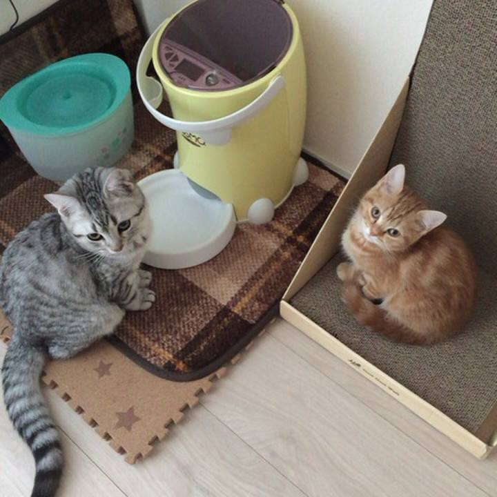 3ed247d7 29ae 444b 8ba5 fb5df540fe04