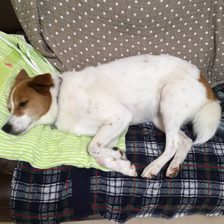 3ed2cfc1 36b4 426d 95d7 d19e7fede53b