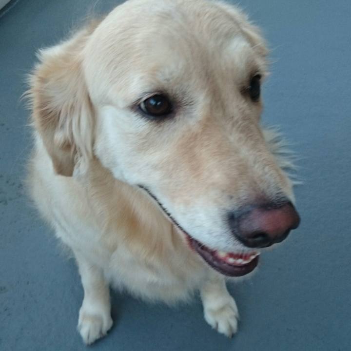 3ed33605 b0c8 423b 8335 0d81022305f1