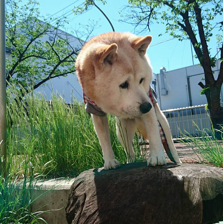 3ed3a08f d034 4419 b299 6d619bb45099