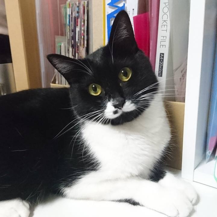 3ed3fad6 1d54 4063 92cc 17e63e6db80f