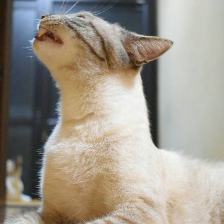 3ed49f1e 17b8 4d43 8e9d b89667e91882