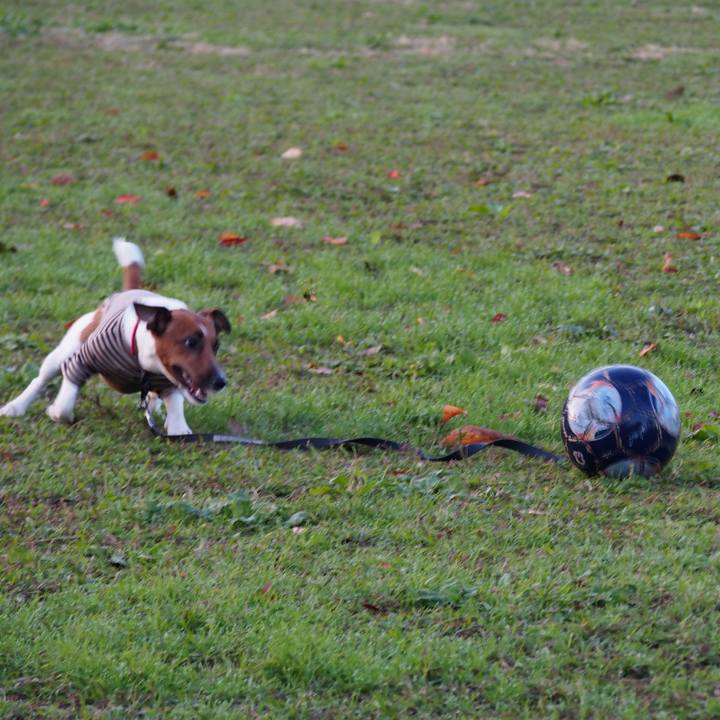 3ed52376 e3d9 435d b790 4b4a825b3ac9