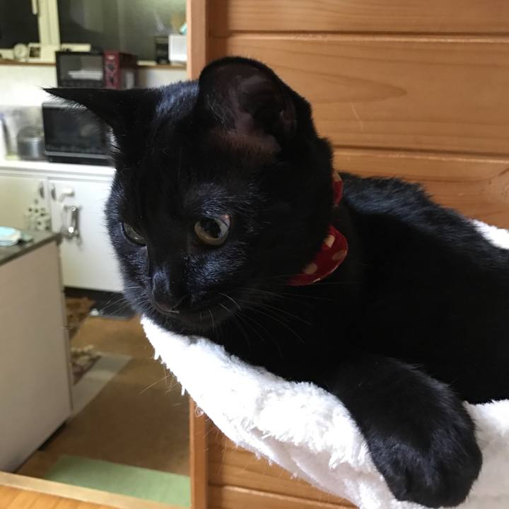 3ed639b8 90a3 458b 84d0 21951ac8ede4