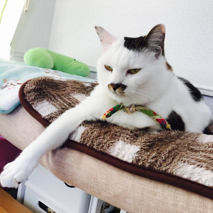 3ed7c447 0f2d 4f86 a342 2225d2cf8912