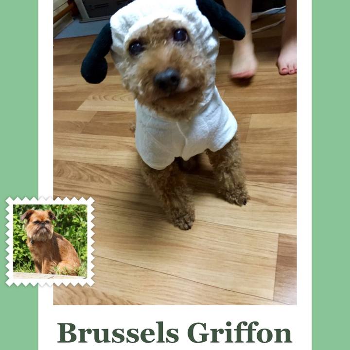 3ed84dbb dfec 44a1 8355 025c719a7906