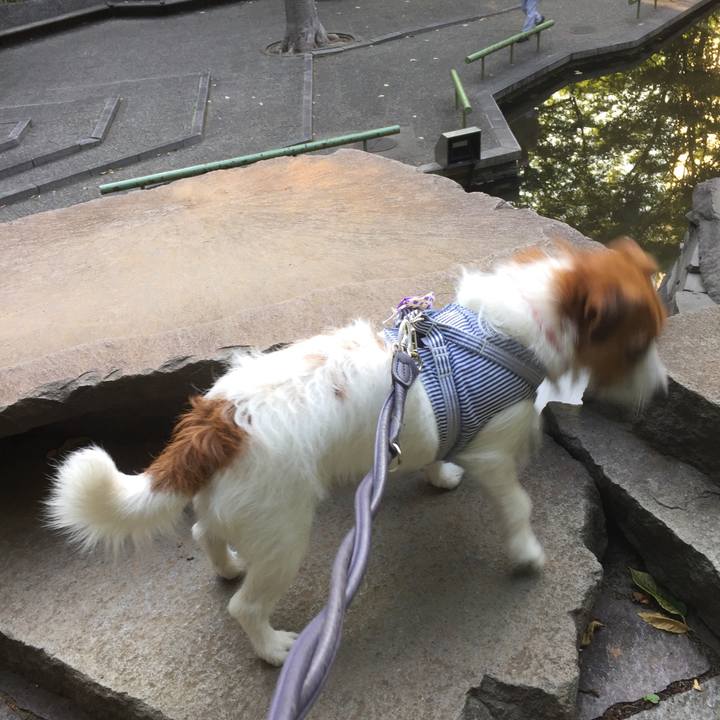 3ed91337 b170 45bd 8044 5dbeef4b165f