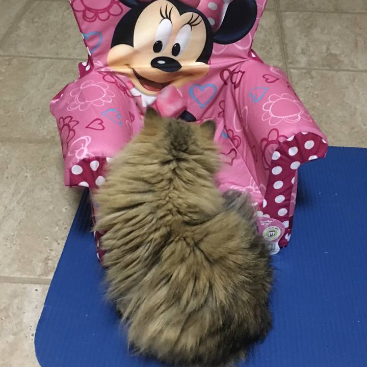 3ed94925 4d09 4270 8776 83cfe5873f2b