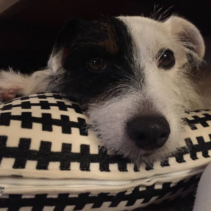 3ed94cc0 8b82 4415 ad27 c0c754f422b5