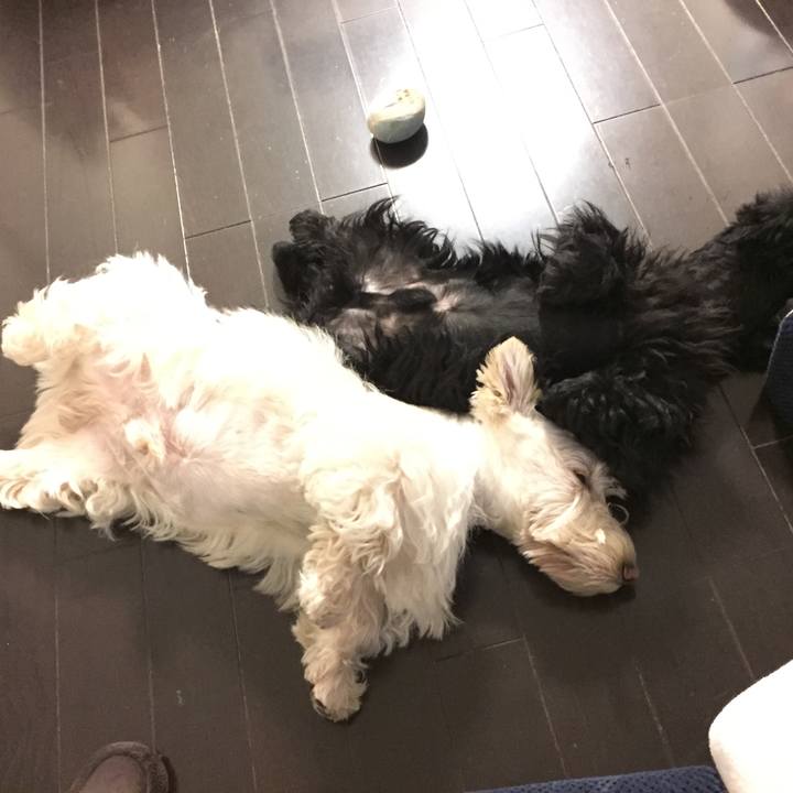 3ed9ea2d bd14 44a0 8678 88b845fbcc88