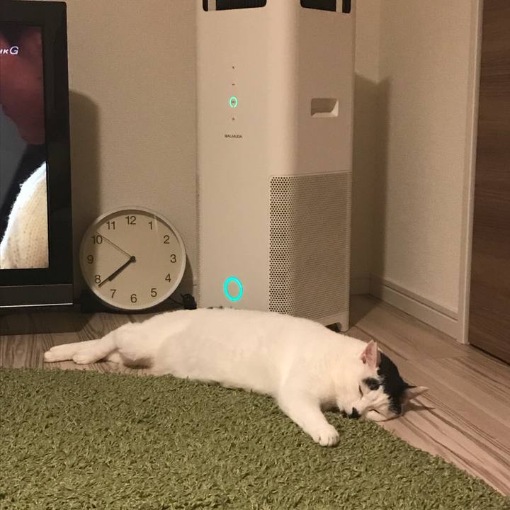 3eda8093 c84e 47cb b449 2d963a3b7df9