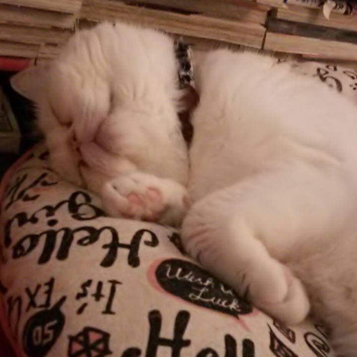 3edb0234 415c 404c b968 aa70f1e55b40