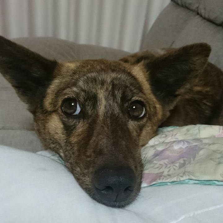 3edb32bc ae2f 4352 ad6b 5fc68fe27ae8