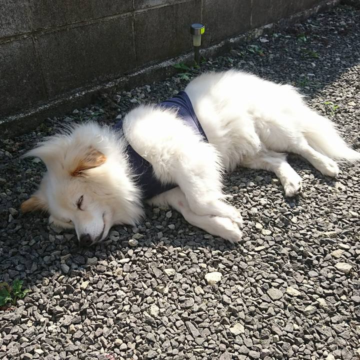 3edb3fd4 bd64 4434 ae83 489ad5679fba