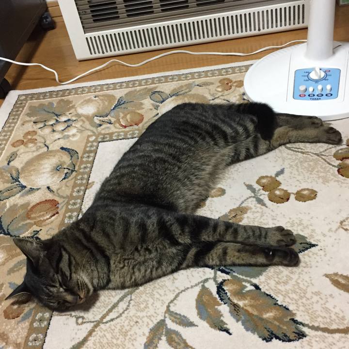 3edb6c47 497c 4c5b a897 db97a2910edc