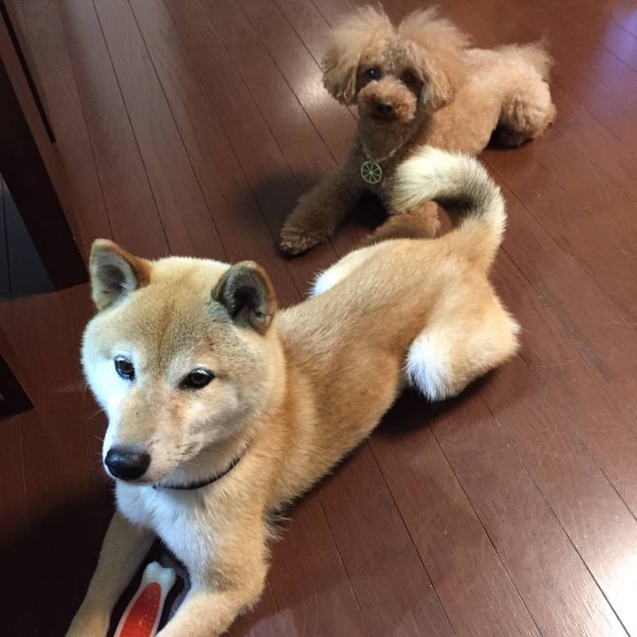 3edbcf05 da2b 4d63 af7a 708a53d278ee