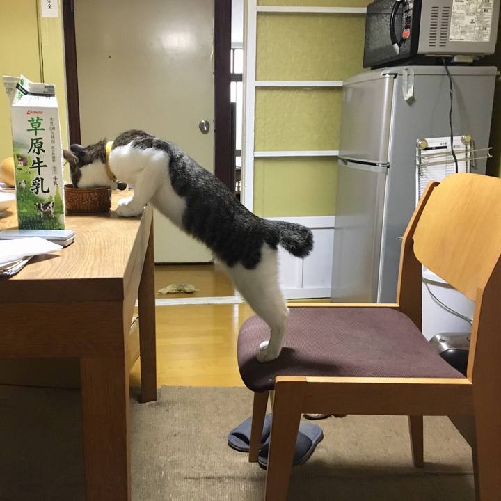 3edc3368 b4d1 4fe6 aa8d cb4d36d43e8f