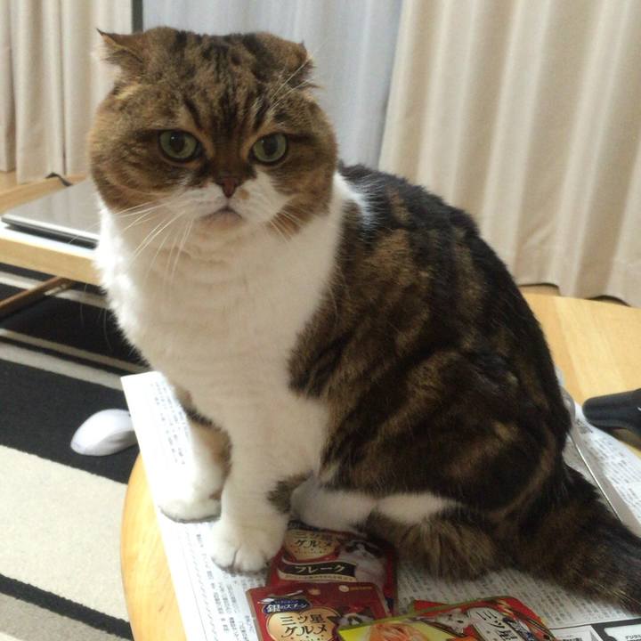 3edc3ec8 e18b 4bda 922c 3cf9f78803aa