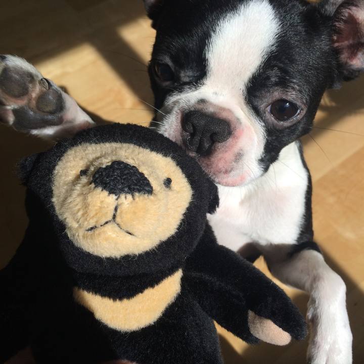 3edc898b 0b63 4d0c b528 81167242c26b