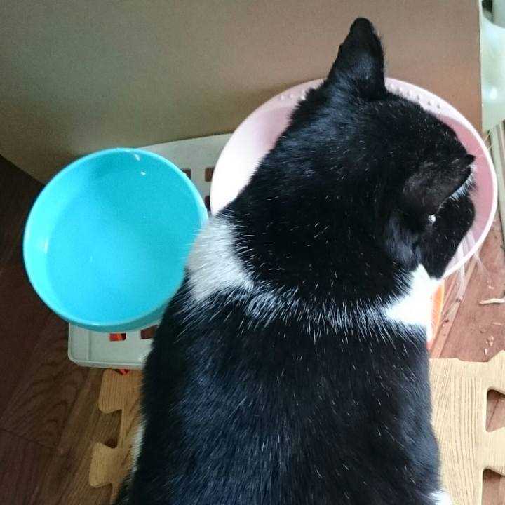 3edcdd0c 1871 4dab 8b4e f84d5d75885e