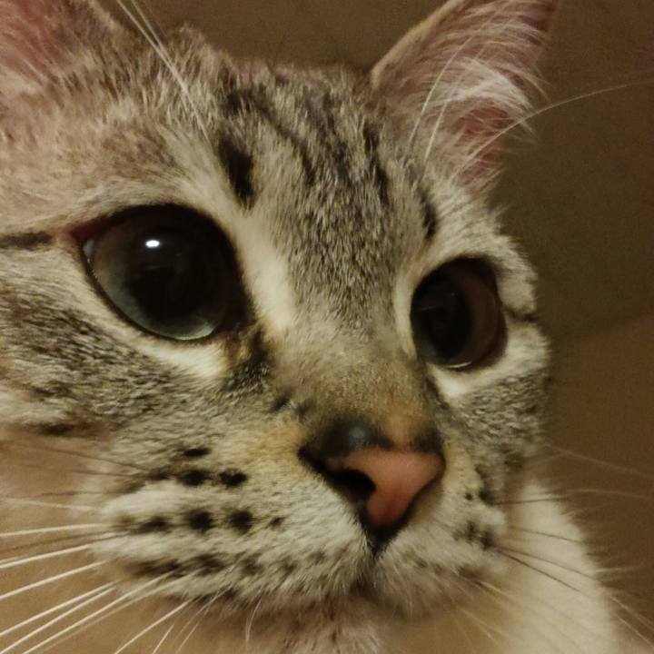 3edd07ef b878 4aeb a65e 50e430b6fd6b