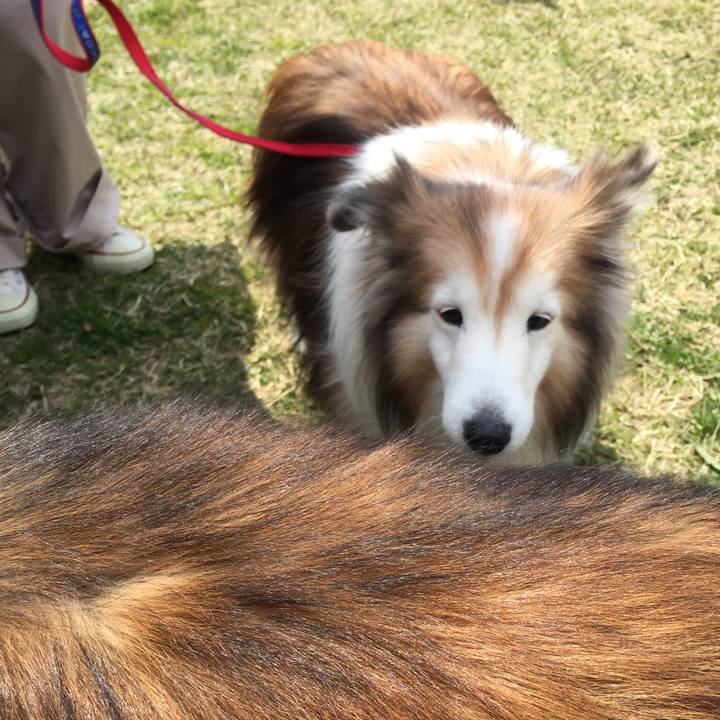 3edd223d 1b58 4b9f 9713 789337894a89