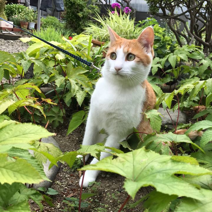 3ede0f98 d879 4cb0 9020 3fb756bd2874