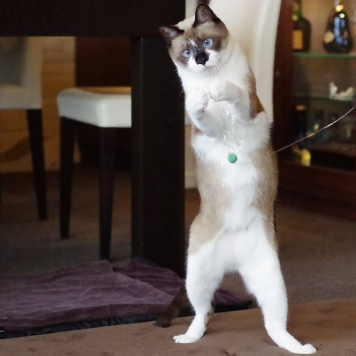 3ede9710 d505 4a86 9af3 bb6def6ebc4b