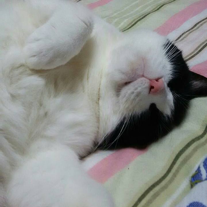 3edf2254 8bc1 477e ac0a 492132a4c344