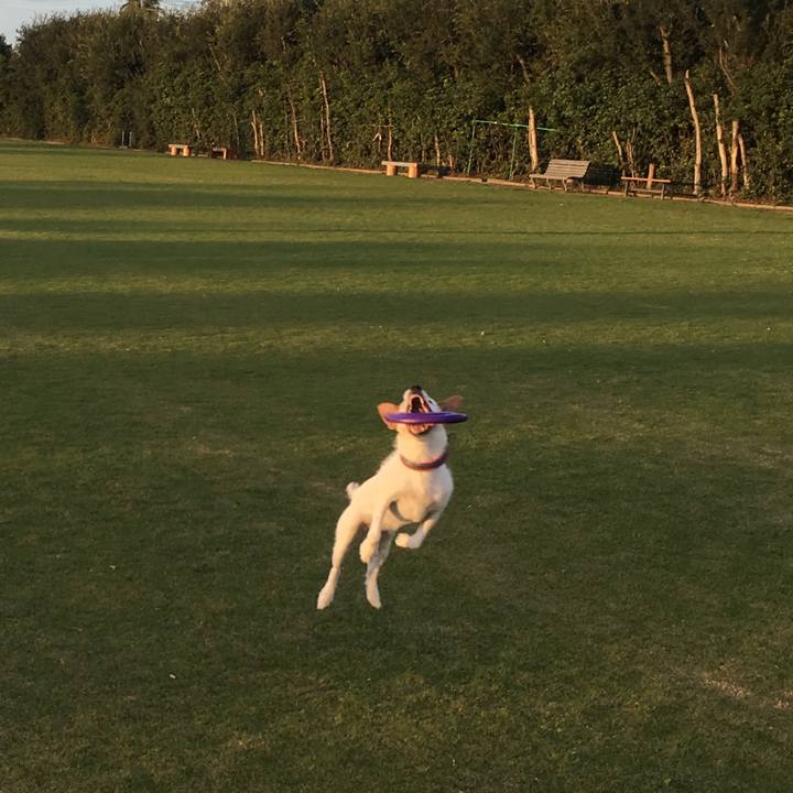 3edf57f0 1818 4f60 921d 443718905661