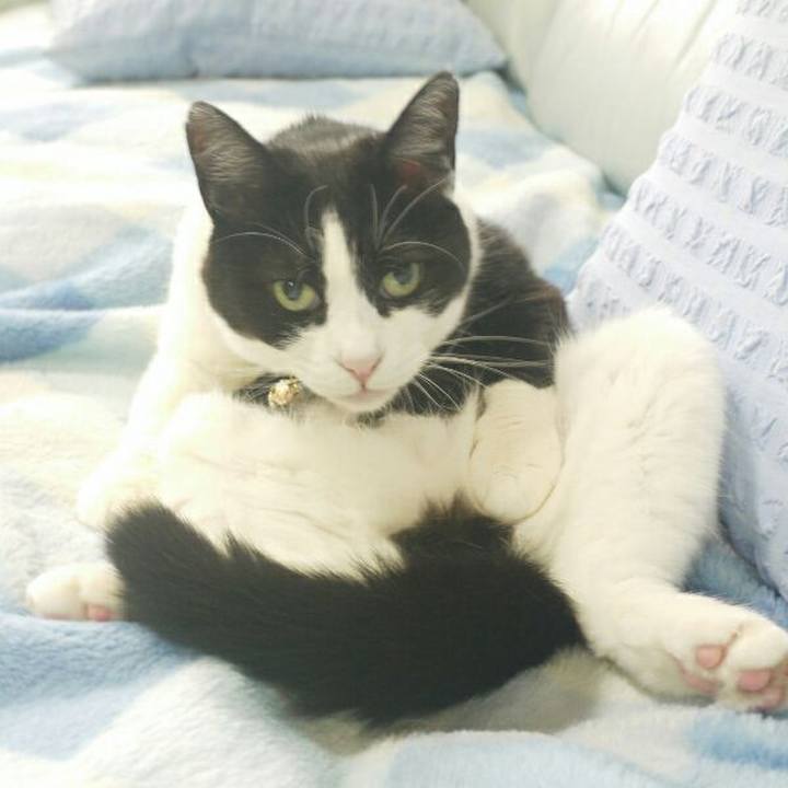 3ee08606 de57 4d46 b62f a4103d34d9f5