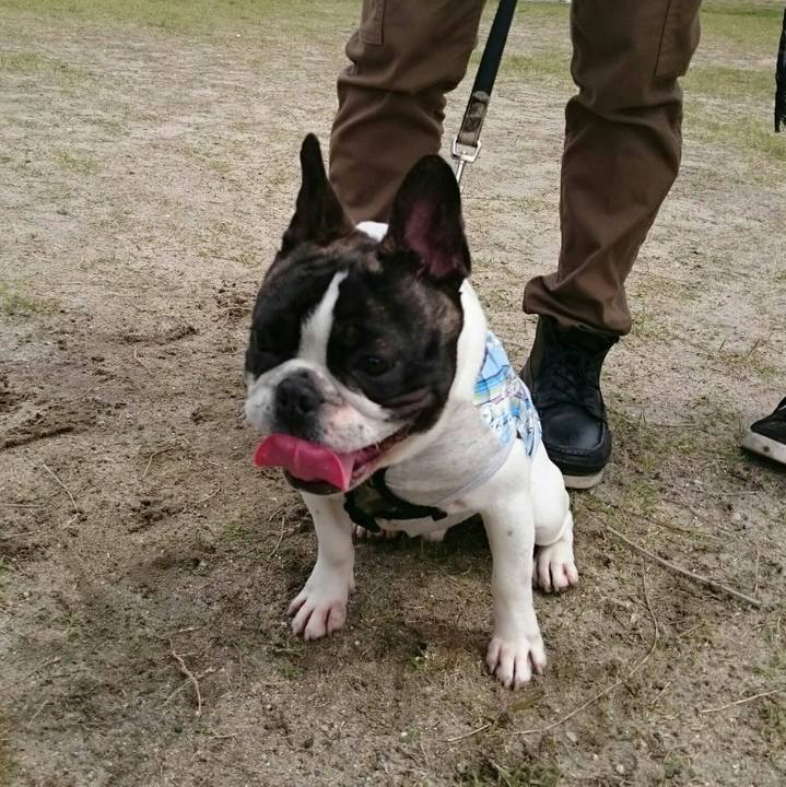 3ee09157 5ecf 48a8 90f7 0f2ae6464a7e