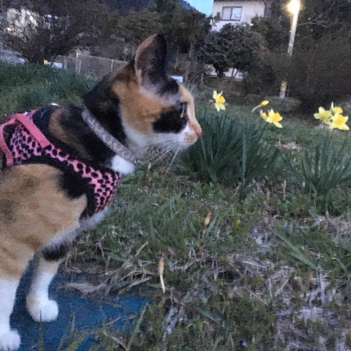 3ee0da63 5513 48b4 9810 a38b67d8c4d6